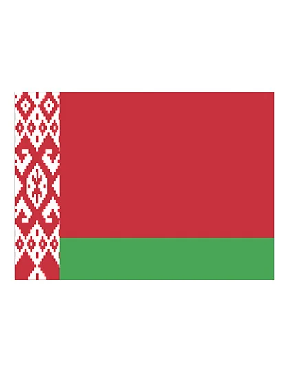 Fahne Weißrussland • Printwear