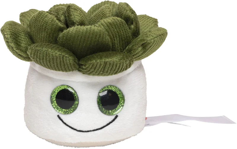Schmoozies® Evergreenies® Sukkulente • Mbw