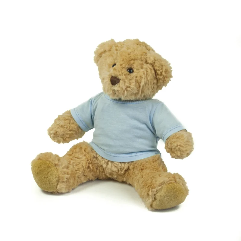 Teddy T-Shirt • Mumbles
